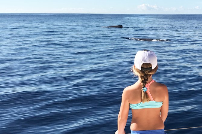 Private Snorkel Trip from Oahu on a Yacht - The snorkel stop: instruction, fish, turtles, and an inner tube