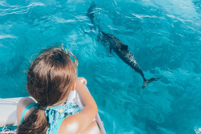 Private Snorkel Trip from Oahu on a Yacht - What the $2,041.88 group price really means