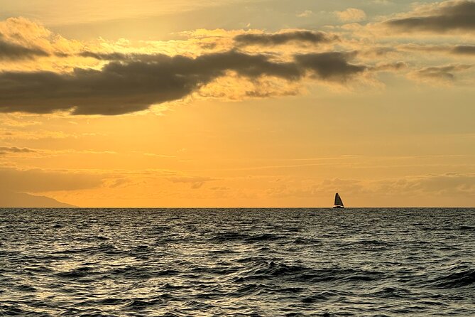 Private Sunset Tour in Marina La Cruz by Yacht - Playa Palito Verde for swimming and paddle boards
