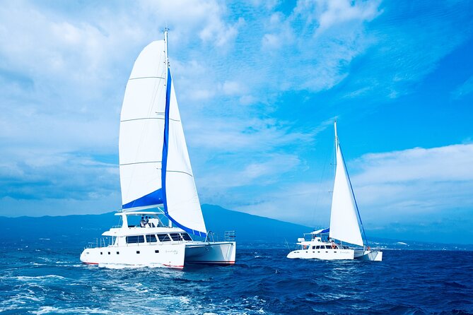 Private Tour in South Jeju including Yacht Cruise - Key points at a glance
