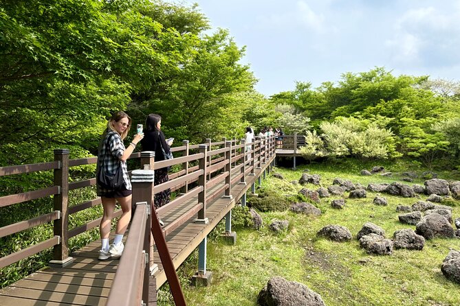 Private Tour in South Jeju including Yacht Cruise - Cheonjiyeon Falls and the cool air of the forest