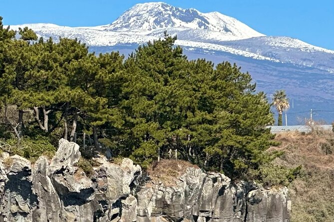 Private Tour in South Jeju including Yacht Cruise - A yacht hour along Jeju’s southern coast
