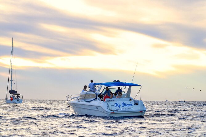 Private Whale Watching on Luxury Yacht in Cabo San Lucas - What the private format is worth