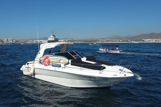 Private Whale Watching on Luxury Yacht in Cabo San Lucas - Food, drinks, and what to clarify