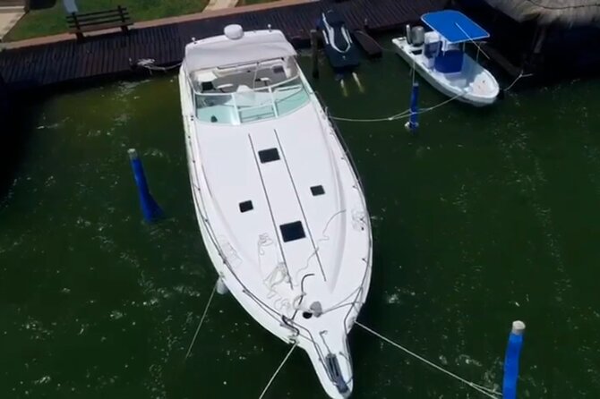 Private Yacht 46ft Sea Ray Snorkel up to 15 pax 23P2 - Swimming and snorkeling, with a few important limits