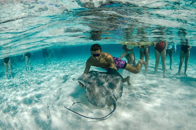 Private Yacht 48 ft Sting Ray City, Snorkel & Starfish Beach - Starfish Beach for an easier shore stop
