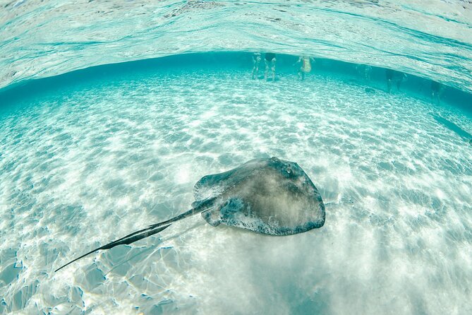 Private Yacht 48 ft Sting Ray City, Snorkel & Starfish Beach - The jet ski question deserves a clear answer