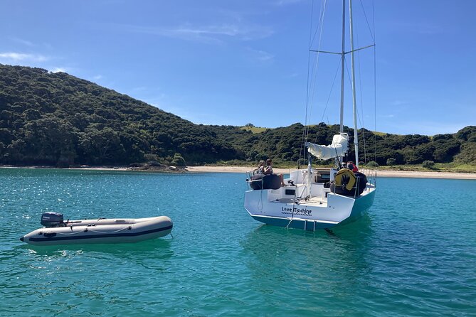 Private Yacht Charter and Island Excursions in the Bay of Islands - Paddleboards and snorkeling in clear water