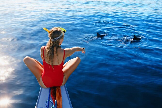 Private Yacht Cruise to Dolphin House with Lunch : Hurghada - Setting out from Hurghada at 8:00 am