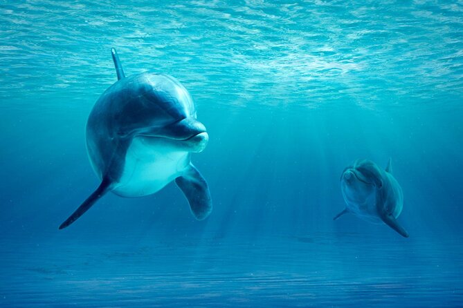 Private Yacht Cruise to Dolphin House with Lunch : Hurghada - Safety, equipment, and comfort at sea