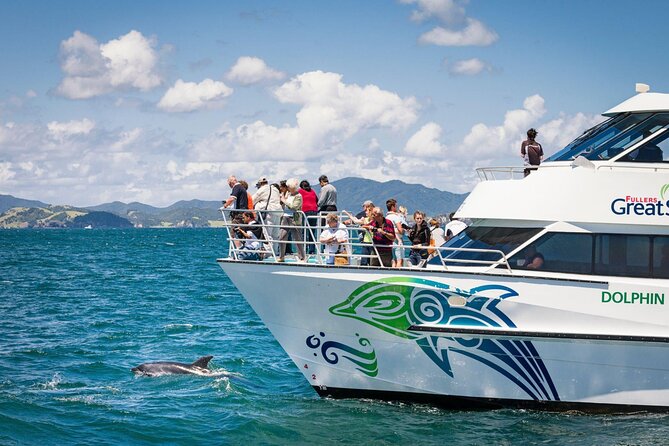 Private Yacht Cruise to Dolphin House with Lunch : Hurghada - Why a private yacht changes the day