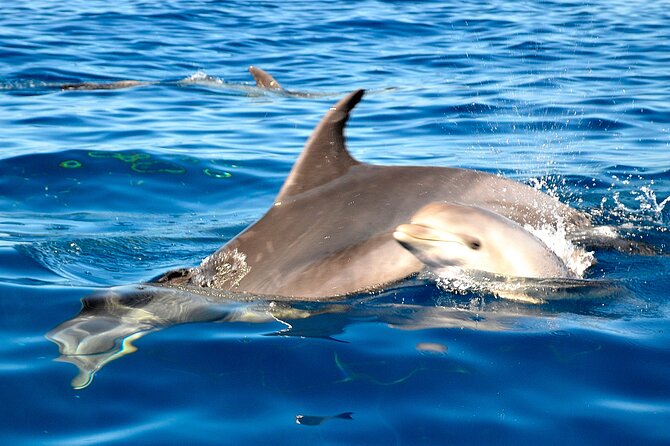 Private Yacht Excursion from Puerto Colon 3 hours - Who Will Enjoy This Yacht Trip Most