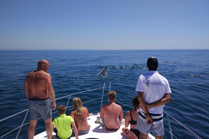 Private Yacht Hire in The Algarve - Majestic - Champagne, snacks, and the open bar