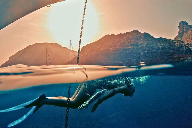 Private yacht in Papagayo Beaches with Gourmet or Premium menu - Who Will Enjoy This Cruise Most?