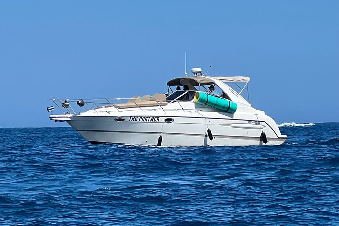 Private yacht rental for 2 hours - Sea lions, whales, and the Pacific Ocean