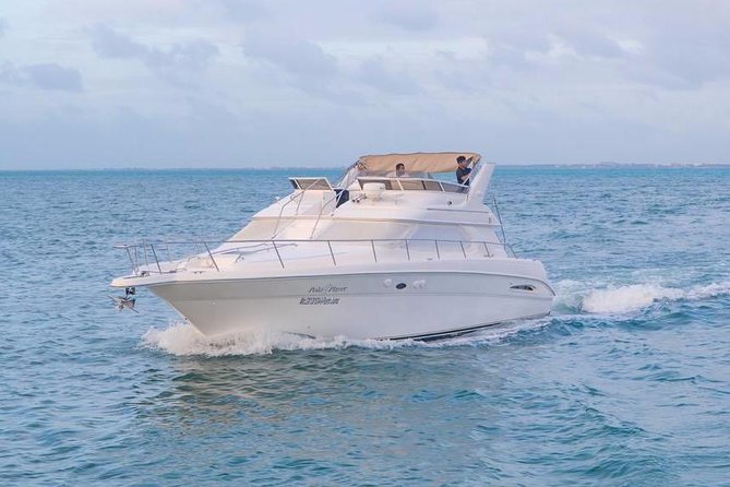 Private Yacht Rental Sea Ray 46ft Cancun 23P3 - Value for groups of different sizes