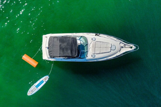 Private Yacht, Snorkeling or Sunset in Cabo San Lucas - Whale watching in the Sea of Cortez