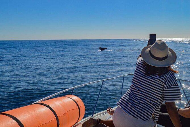 Private Yacht, Snorkeling or Sunset in Cabo San Lucas - Lover’s Beach and the cave of San Andres