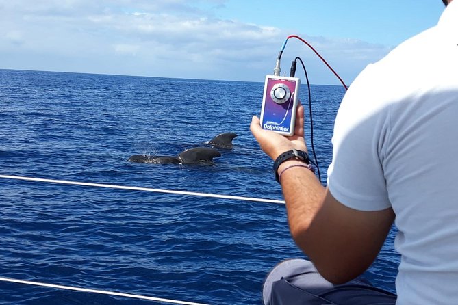 Private Yacht Tour With Whale and Dolphin Watching 33 Foot Boat - Snorkeling at Puertito beach