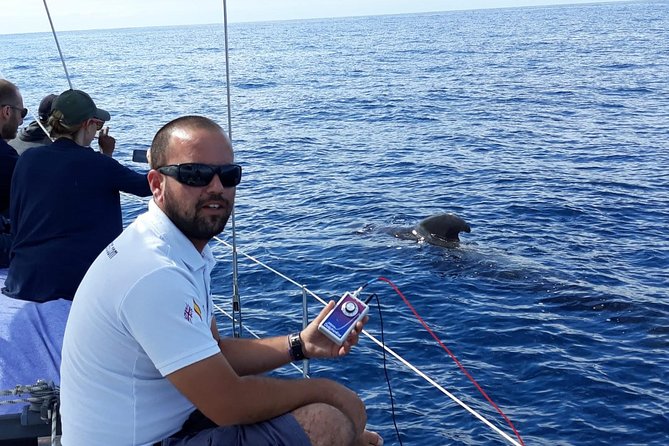 Private Yacht Tour With Whale and Dolphin Watching 33 Foot Boat - What the captain adds to the day