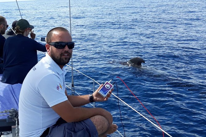 Private Yacht Tour With Whale and Dolphin Watching 42 Foot Boat - Who will get the most from this cruise