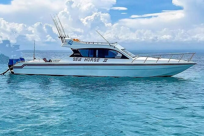 Private Yacht Trip Tour Bali - 8 Hours Day Trip Nusa Penida - SH2 - Key Points Before You Book