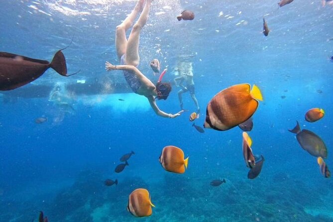 Private Yacht Trip Tour Bali - 8 Hours Day Trip Nusa Penida - SH2 - Lunch at AMP Beach Club on Penida