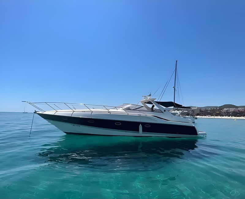 Puerto Banus: Private Luxury Yacht Charter - The dolphin search near Playa Puerto Banús