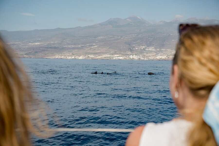 Puerto Colon: Whale and Dolphin Watching Yacht Trip - Setting out from Puerto Colón