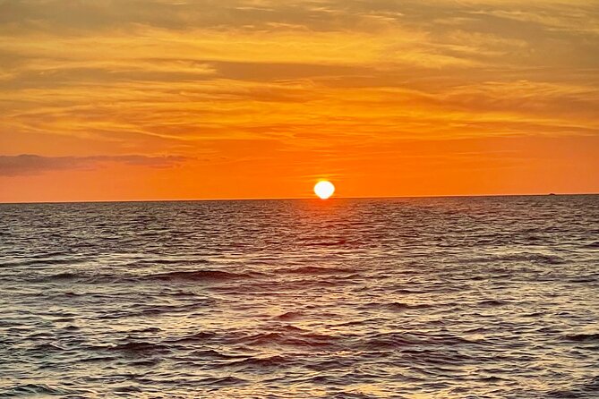 Puerto Vallarta: Luxury Yacht Sunset Cruise with Premium Open Bar - Whale sightings and other wildlife
