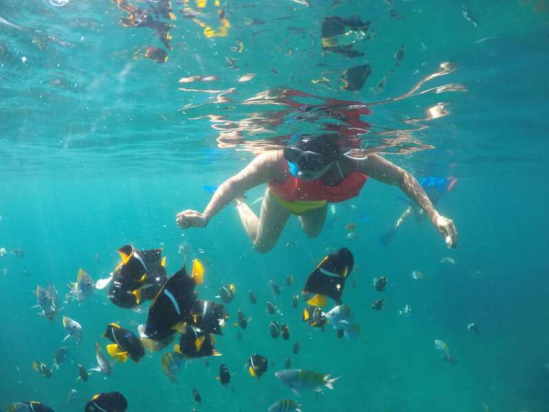 Puerto Vallarta: Luxury Yacht Tour with Lunch and Open Bar - Five things to know before you book