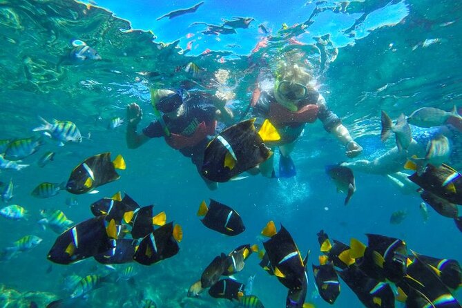 Puerto Vallarta: Private Yelapa Beach & Snorkel Tour on a Yacht - The return cruise is part of the value