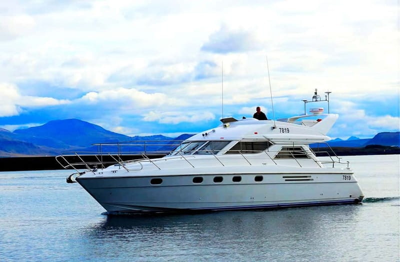 Puffin Watching Yacht Cruise from Downtown Reykjavík - The best time to see puffins