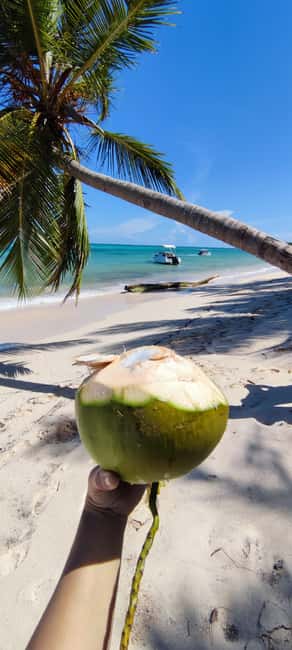 Punta Cana : Private yacht Snorkeling, Lagoon and Wild Beach - What the $280 group price really buys