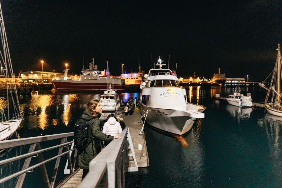 Reykjavik: Northern Lights Yacht Tour - What the guides add to the night
