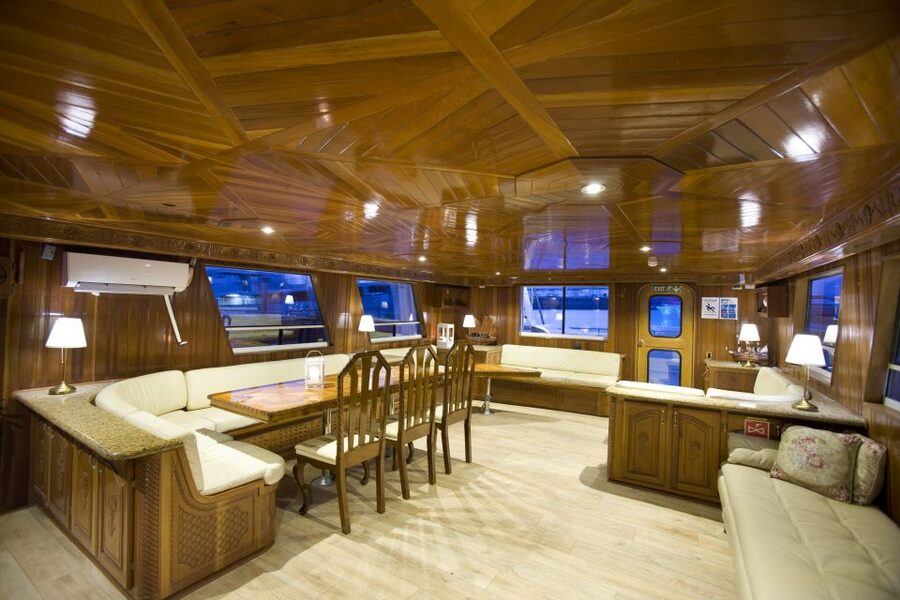 Reykjavik: Northern Lights Yacht Tour - Wildlife and extra sights along the way