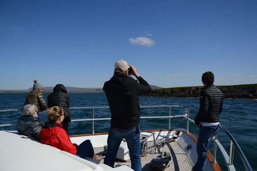 Reykjavik: Whale Watching and Dolphin Watching Yacht Cruise - What the yacht is like in Icelandic weather