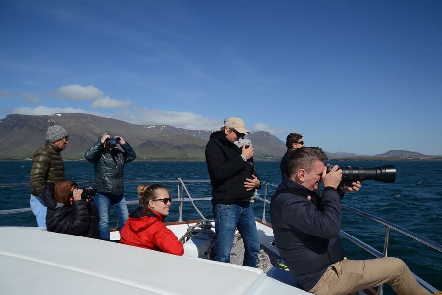 Reykjavik: Whale Watching and Dolphin Watching Yacht Cruise - Who will enjoy this experience most?