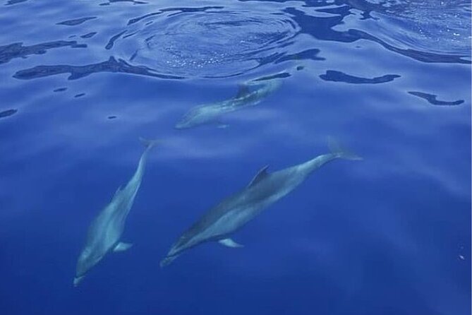 Sailing Yacht on a Private Charter - Is $74 good value for this Tenerife charter?