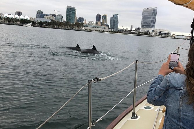 San Diego Bay Sail Aboard a Vintage Yacht Beer and Wine Included - Sunset colors, wildlife, and the changing skyline