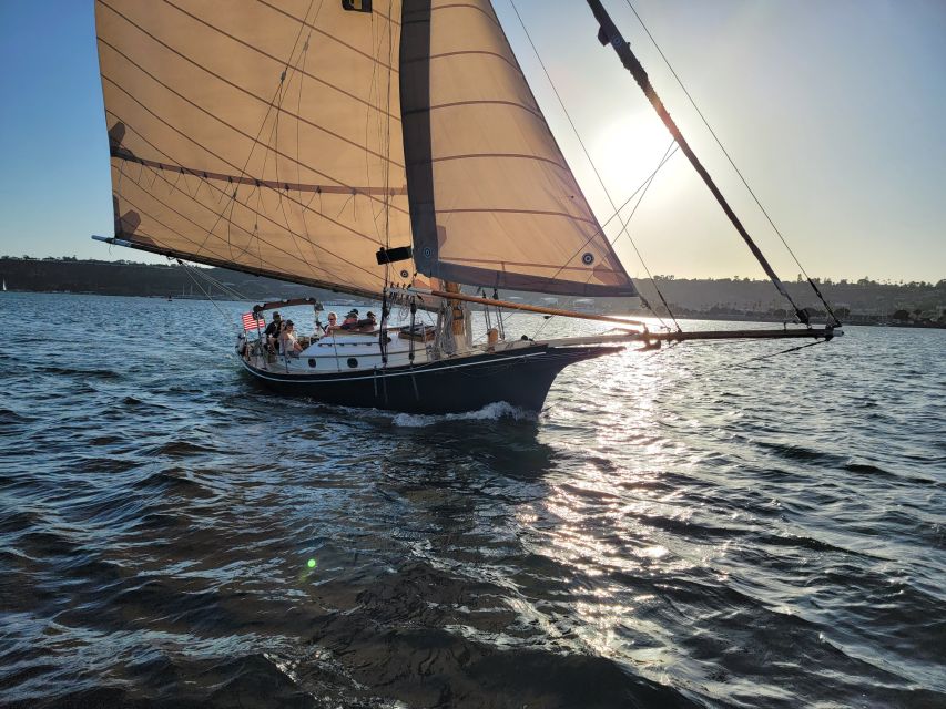 San Diego: Classic Yacht Sailing Experience - Wildlife sightings depend on luck and timing