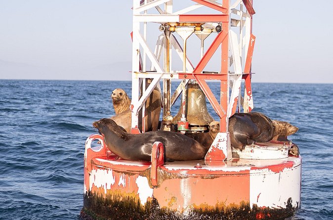 Santa Barbara Narrated Coastal Yacht Experience - Drinks, snacks, music, and the onboard mood