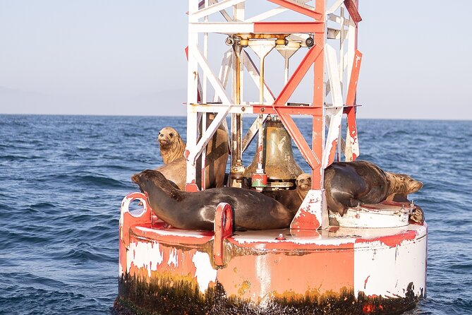 Santa Barbara Narrated Coastal Yacht Experience - Who will enjoy this cruise most?