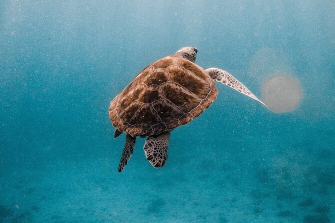 Similan Islands Luxury Catamaran Day Tour (Phuket / Khao Lak) - The Crew and Onboard Service