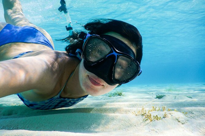 Small group tour by premium yacht to Elaphite Islands - Quick points before you book