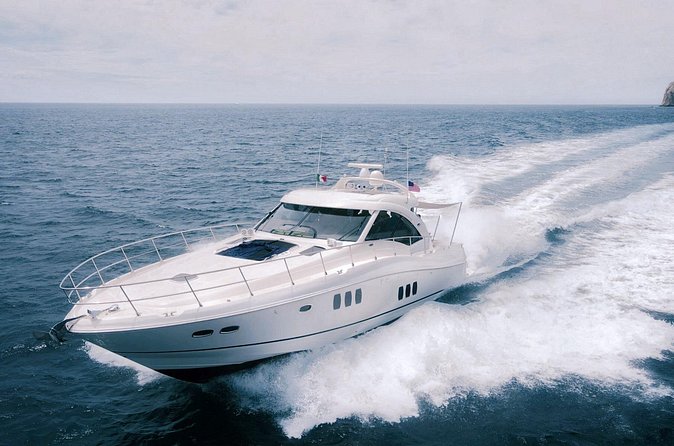 Steel Aweigh 65ft Sea Ray Yacht Rental - Cabo views, wildlife, and whale sightings