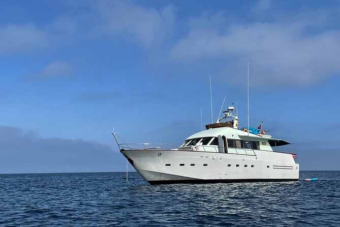 Sunset Cruise Lisbon | VIP Yacht Lisbon Party - From a former power station to modern art at MAAT