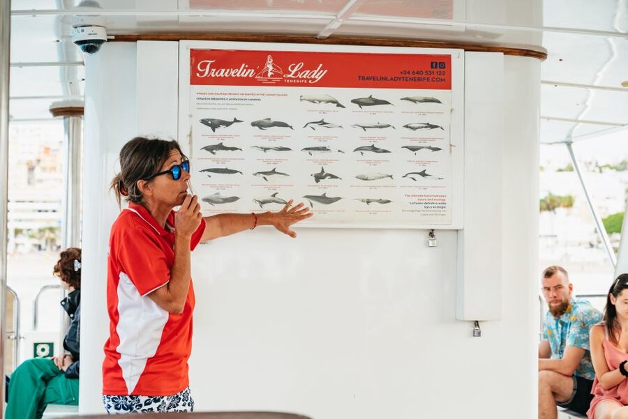 Tenerife: Eco-Yacht Whale and Dolphin Watching and Swimming - Why the Travelin Lady feels different