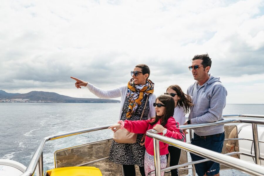 Tenerife: Eco-Yacht Whale and Dolphin Watching and Swimming - The Cave of Love and the Palm-Mar coast