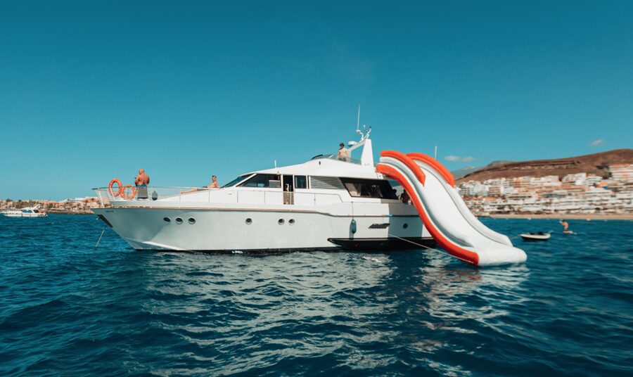 Tenerife: Fun Yacht Trip with Water Activities and Toys - Dolphins, turtles, and the limits of wildlife watching